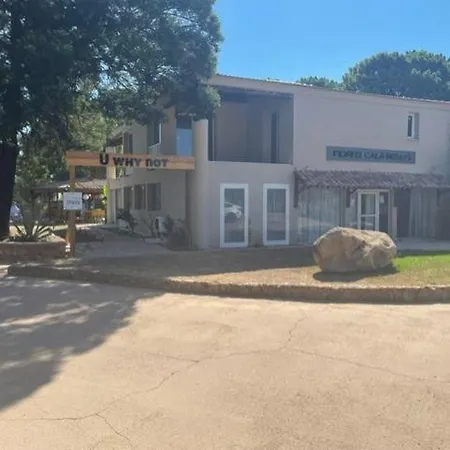 Corse Du Sud Fiori Di Cala Rossa T2 Rez De Jardin Dans Résidence Piscine