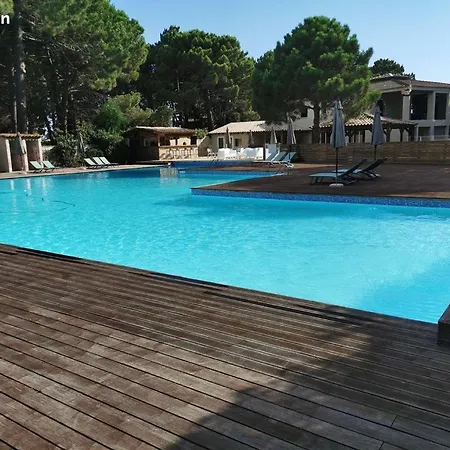 Corse Du Sud Fiori Di Cala Rossa T2 Rez De Jardin Dans Résidence Piscine Appartamento Lecci