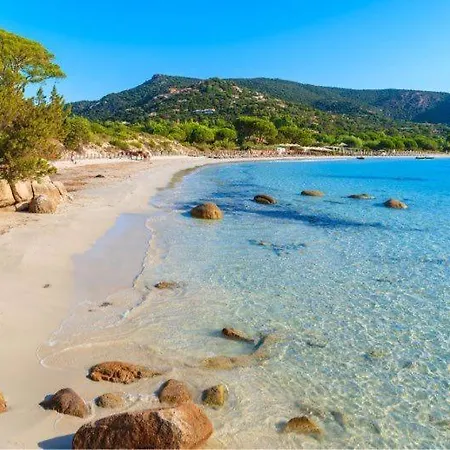 Corse Du Sud Fiori Di Cala Rossa T2 Rez De Jardin Dans Piscine Lecci