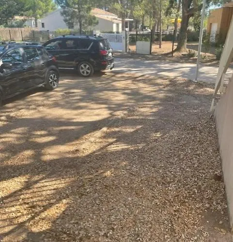 Apartman Corse Du Sud Fiori Di Cala Rossa T2 Rez De Jardin Dans Piscine Lecci